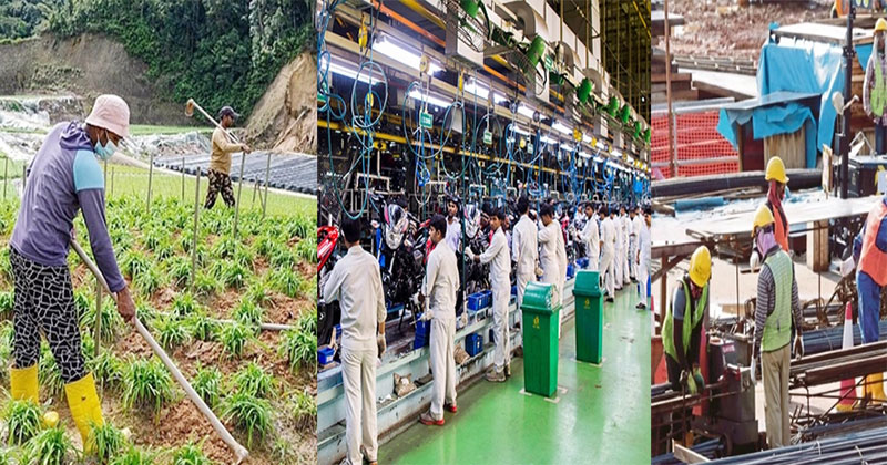 কৃষি-পরিষেবা-নির্মাণখাত এই ৩ সেক্টরে দ্রুত বিদেশি কর্মী নিয়োগের তাগিদ 