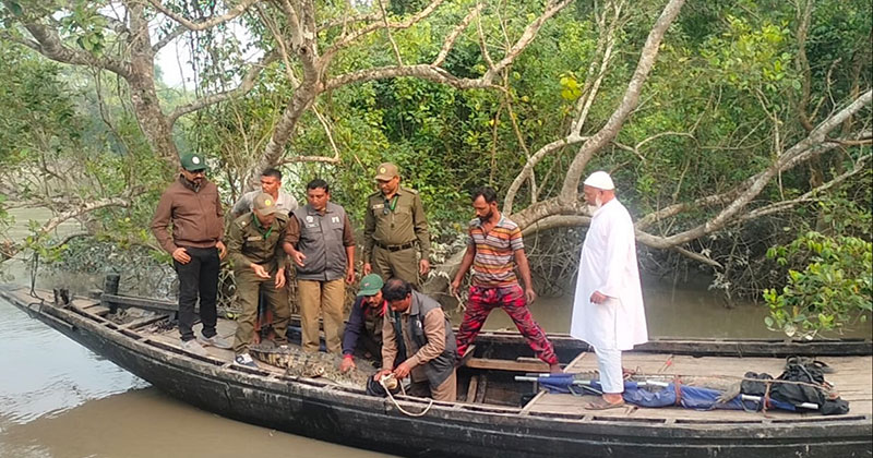 উদ্ধারকৃত ১৮ বন্যপ্রাণী সুন্দরবনে অবমুক্ত