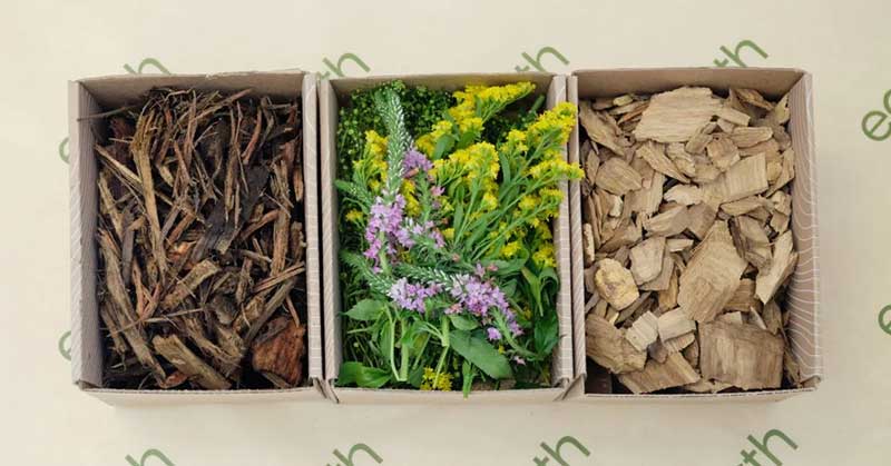 কাঠের খণ্ড, বনফুল এবং গাছের শিকরের ভেজা খড় ও পাতা মরদেহকে মাটিতে পরিণত করতে সহায়তা করে।