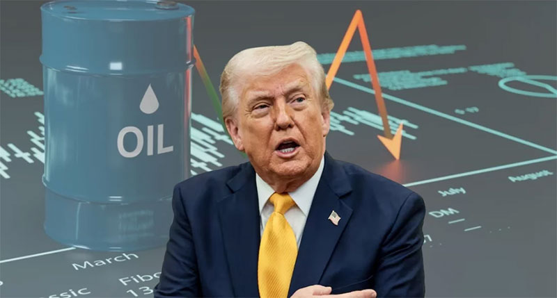 ট্রাম্পের এক বার্তায় বিশ্ববাজারে তেলের দামে বড় পতন