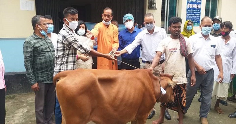 কালিয়াকৈরে ক্ষুদ্র নৃ-গোষ্ঠিদের মধ্যে গরু বিতরণ