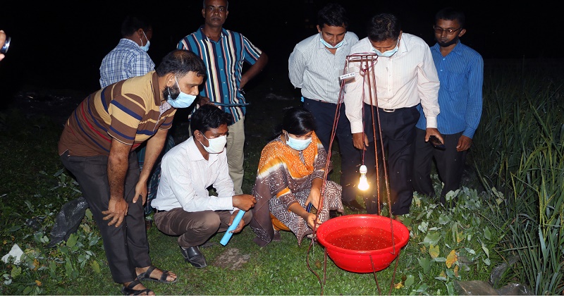 ক্ষতিকর পোকা নির্ণয়ে আলোর ফাঁদ