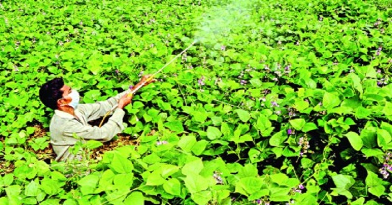 বগুড়ায় তীব্র শীত ও ঘন কুয়াশায় বিপর্যস্ত জনজীবন