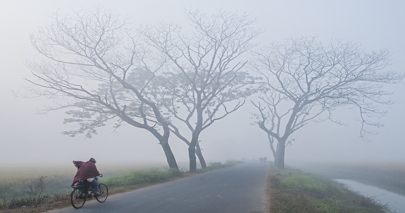 ফাইল ফটো
