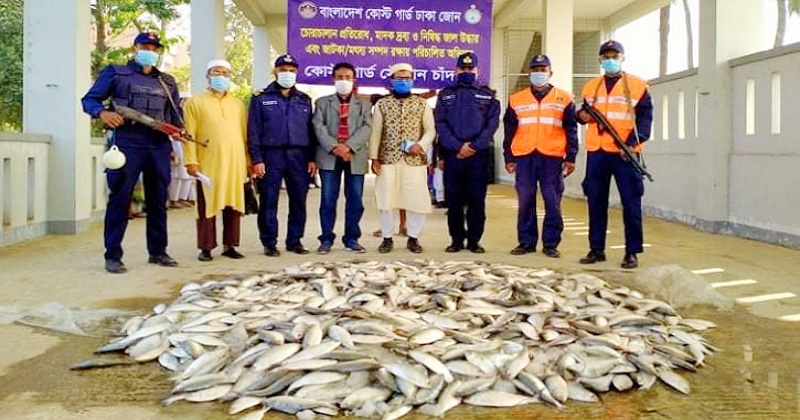 চাঁদপুরে ১৫ মণ জাটকা জব্দ