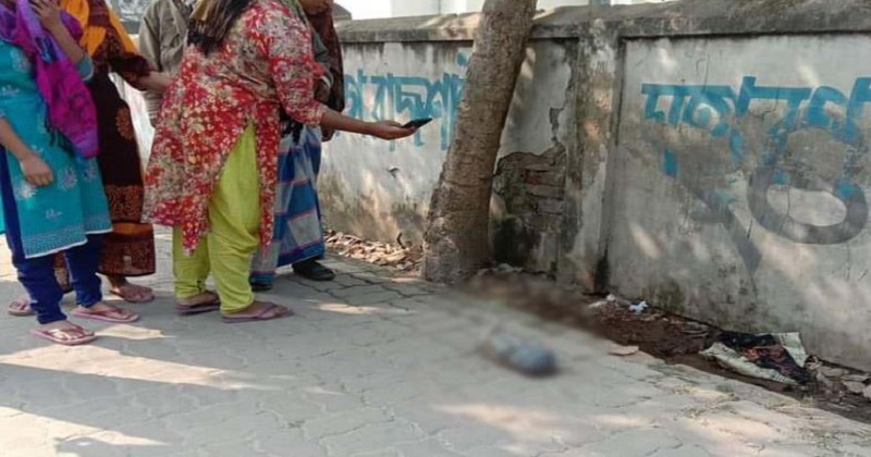রাজশাহীতে নর্দমা থেকে নবজাতকের লাশ উদ্ধার