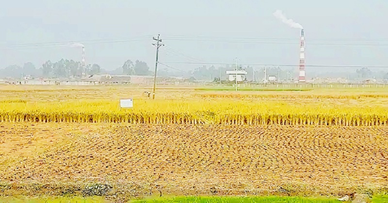 নীলফামারীতে অপরিকল্পিত ইটভাটা গিলে খাচ্ছে আবাদি জমি