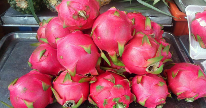 ড্রাগন ফলে ব্যবহার হচ্ছে ‘টনিক’, চেনার উপায় ও স্বাস্থ্যঝুঁকি জেনে নিন