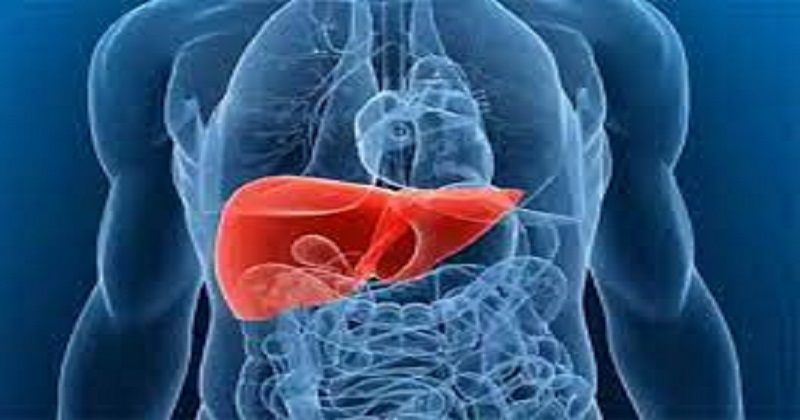 ‘ফ্যাটি লিভার প্রতিরোধে জীবনযাত্রায় পরিবর্তন করতে হবে’