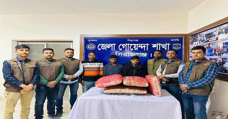 সিরাজগঞ্জে ২৫কেজি গাঁজাসহ আটক ৩,পিকআপ জব্দ