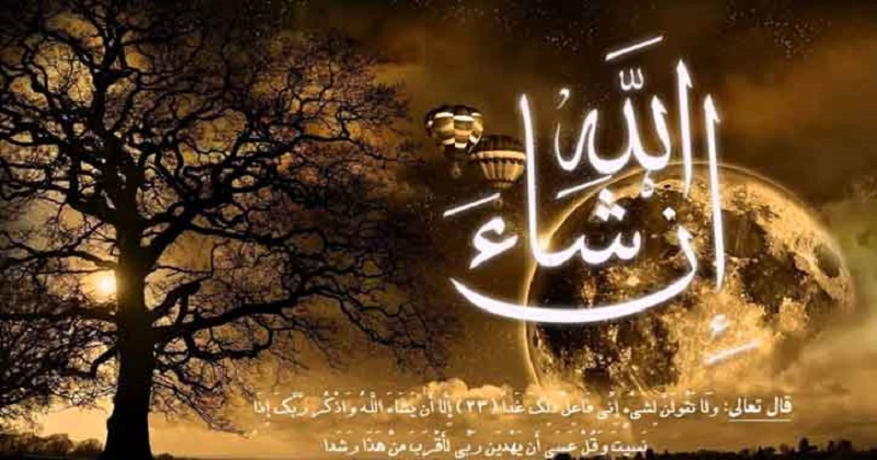 ইনশাআল্লাহ না বলায় যে পরিণতি হয়েছিল সোলাইমান (আ.)-এর