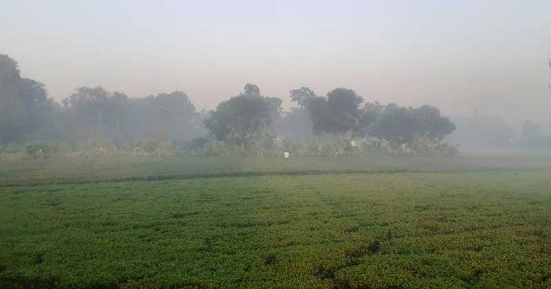 আবারও ১০ ডিগ্রির নিচে পঞ্চগড়ের তাপমাত্রা