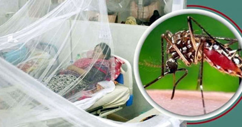 ডেঙ্গুতে ১ জনের মৃত্যু, হাসপাতালে ভর্তি ৬৬৪