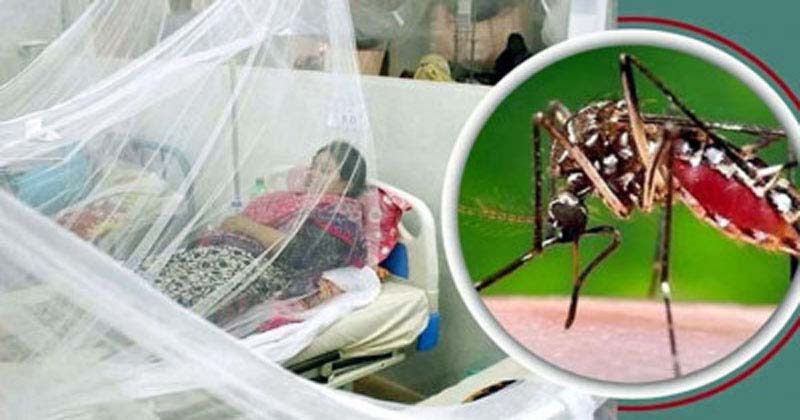 ডেঙ্গুতে আরও ৩ মৃত্যু, হাসপাতালে ভর্তি ৭৩৫