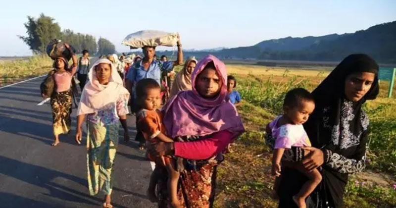 রোহিঙ্গা পাচারে সহায়তা করেছিলেন বিগত সরকারের কিছু কর্মকর্তা