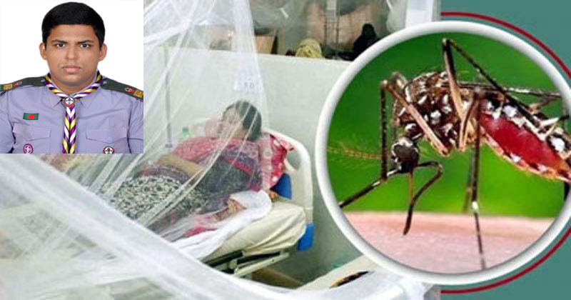 মশার কামড়েই মৃত্যুঝুঁকি: ডেঙ্গু থেকে বাঁচার সহজ উপায়