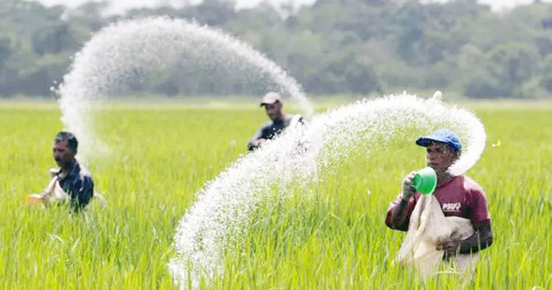 তিন দেশ থেকে ১৮৪৭ কোটি টাকার সার কিনবে সরকার