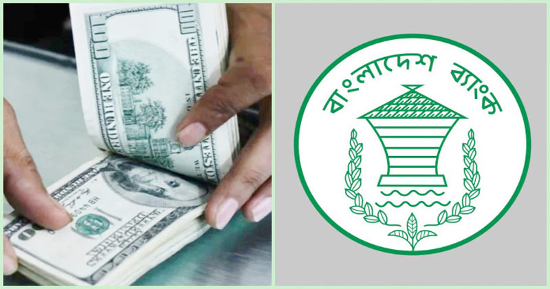 ১০ ব্যাংক থেকে ১০ কোটি ৭০ লাখ ডলার কিনলো বাংলাদেশ ব্যাংক