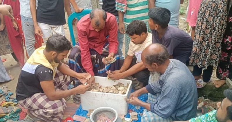 ছবি : সংগৃহীত