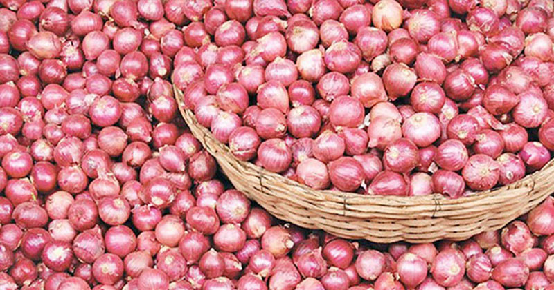 আমদানির সুপারিশে কি পেঁয়াজের দাম কমবে
