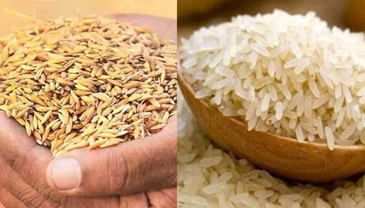 ৩৪ টাকায় ধান, ৫০ টাকা কেজি দরে সেদ্ধ চাল কিনবে সরকার